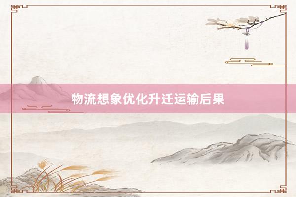 物流想象优化升迁运输后果