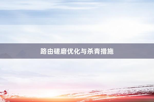 路由磋磨优化与杀青措施